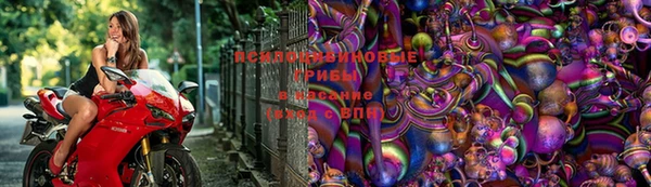 МДПВ Алексеевка