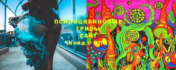 твердый Алзамай