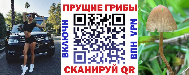 цена наркотик  Лысково  Галлюциногенные грибы Cubensis 